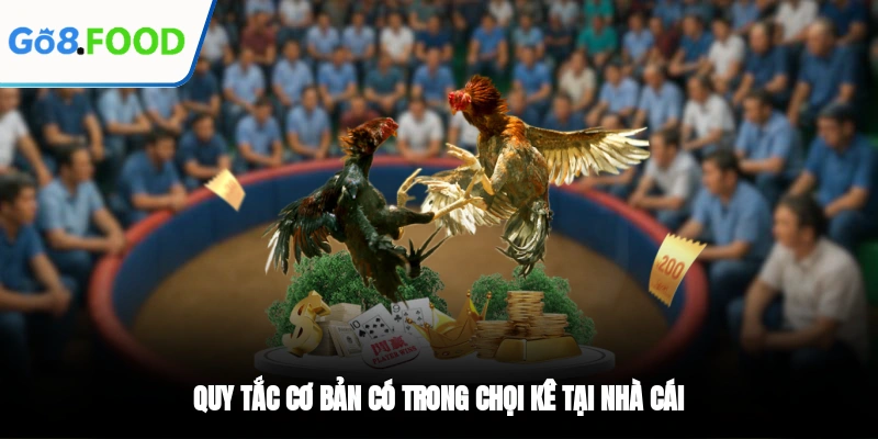 Quy tắc cơ bản có trong chọi kê tại nhà cái